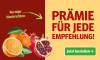 Anzeige für ein Zeitungsabonnement. Text: "Pramie für jede Empfehlung!" und Button „Jetzt bestellen“.